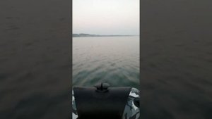 Гладиатор 9.8 и Адмирал 330 CF НДНД