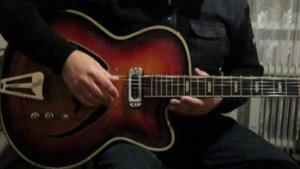 Musima Record 17 unplugged. DDR 71-74