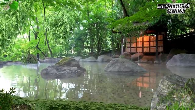 Жить в помазании - это помогать людям @ncemya смотреть онлайн