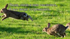 Берегите лес