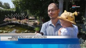 «Ковёр» из кувшинок зацвел в Волгоградском региональном ботаническом саду