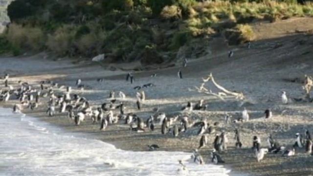 Архипелаг Огненная земля.