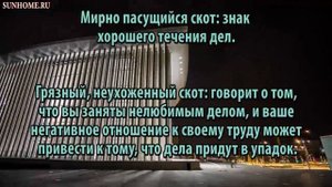 К чему снится Скот сонник, толкование сна