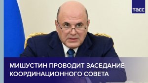 Мишустин проводит заседание координационного совета