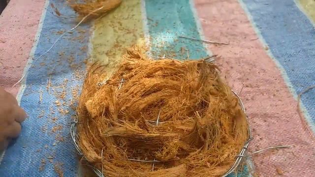 HANGING PLANT OR AIR PLANT MY OWN CREATIVE IDEAS / #IBANEZ смотреть онлайн