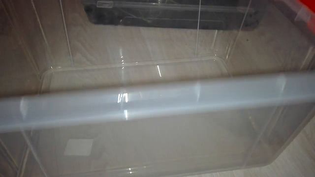 Новый домик для моих улиток Ахатин)))) смотреть онлайн