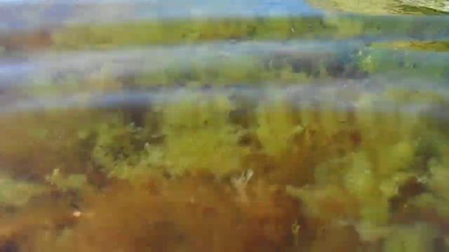 Актау | эстетичный камень Каспийского моря у ванночки смотреть онлайн