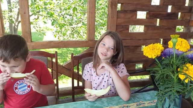 Дегустация дыни, Арсений решил попробовать дыню. смотреть онлайн