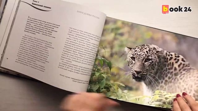 Дикие кошки России: иллюстрированный авторский фотоальбом смотреть онлайн