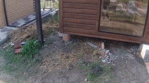 Как создать идеальный пруд с рыбой: контролируйте все аспекты
