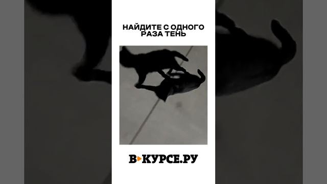 ВЕЧЕРНЕЕ ВЕСЕЛОЕ