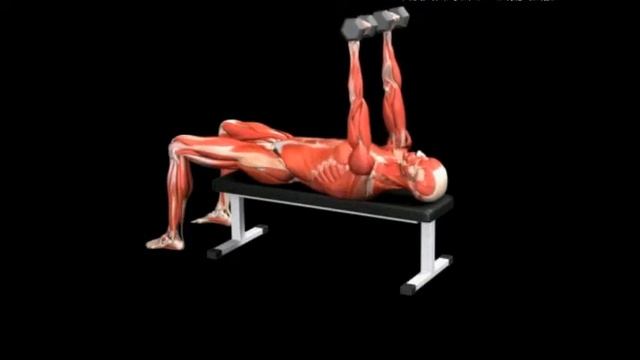 Пожимание плечами с гантелями лежа на скамье Dumbbell shrug Overhead Flat bench смотреть онлайн