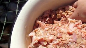 Белок в рационе мускусных уток.