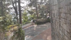 Обед в санатории «Мыс Видный» Сочи