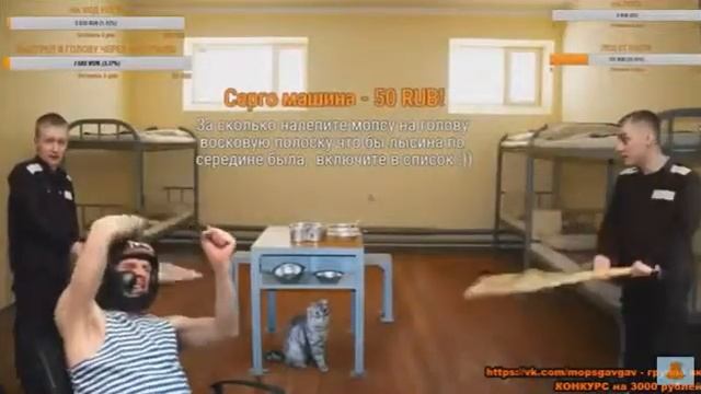 Кот воровской(вислоухий) Мопс отьехал, получил по голове!) смотреть онлайн