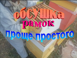 Как правильно обсушивать откачанные рамки