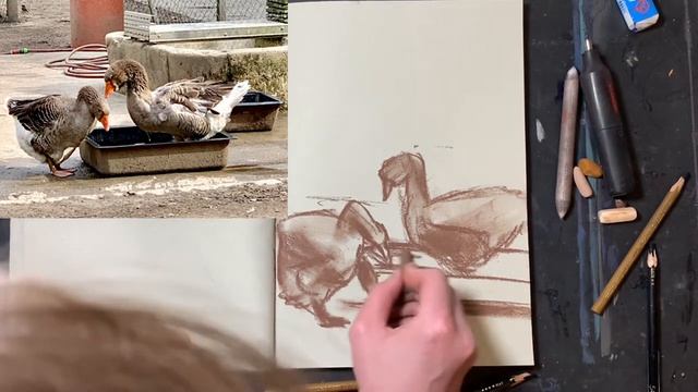 Три быстрых зарисовки птиц углём и сухой пастелью смотреть онлайн