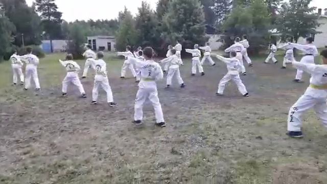 Тхеквондо лагерь! смотреть онлайн