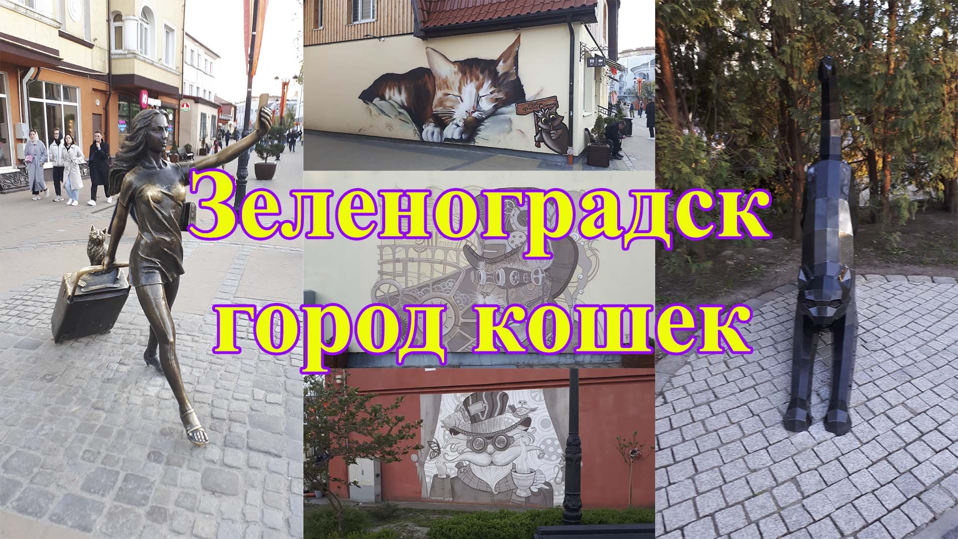 Зеленоградск - город кошек. Путешествие по Калининградской области