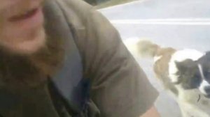 Погоня собак за велосипедом. Жесть!!!  (DJ Aligator - Doggy Style)