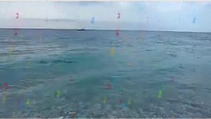 О МОРЕ В ГАГРАХ - Влад НЕЖНЫЙ