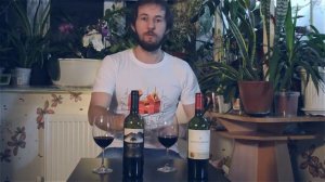 Крепче Нуля. Чилийские вина NIEBLA и SANTA CAROLINA сорт CARMENERE