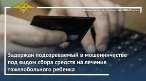 Ирина Волк: В Красноярском крае задержан подозреваемый в мошенничестве под видом сборов средств