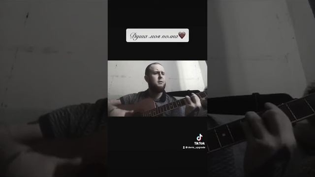 Душа моя полна (кавер)