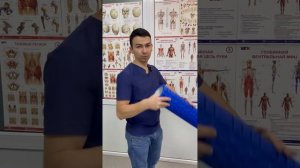 Болит плечо, какие упражнения нужно делать.