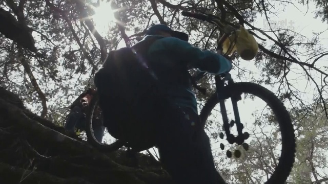 Дорога в школу. Мексика. Израэль смотреть онлайн