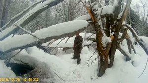 НОВИНКА!!!2017!!! ОХОТА на енота