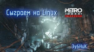 Сыграем на Linux: Metro 2033 Redux #1