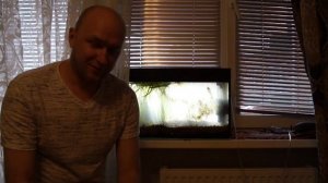 Аквариум на подоконнике(тест)