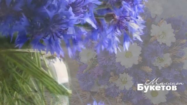 Васильки от интернет магазина Миллион-Букетов.ру смотреть онлайн