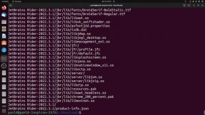 How to Install JetBrains Rider on Ubuntu in 2022 - A Step-by-Step Guide