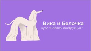 Видео-отзыв с курса "Собака: инструкция по применению", 3 группа, Вика