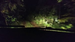 Охота на самца косули.#охота на самца косули#охота на козла#охота на косулю#