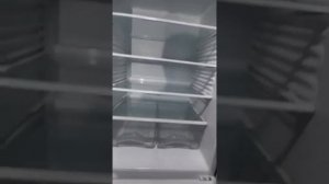 видео обзор холодильника Атлант MXM 1818