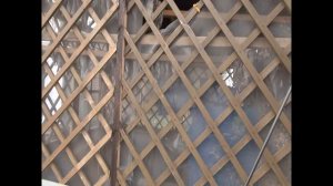 Астрахань рыбалка апрель. Станья