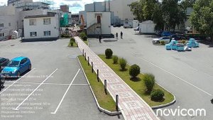 Novicam BASIC 57 день