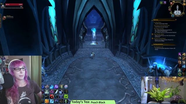 Invincible Runs and War of the Thorns Questing - July 24 Live Stream VoD смотреть онлайн