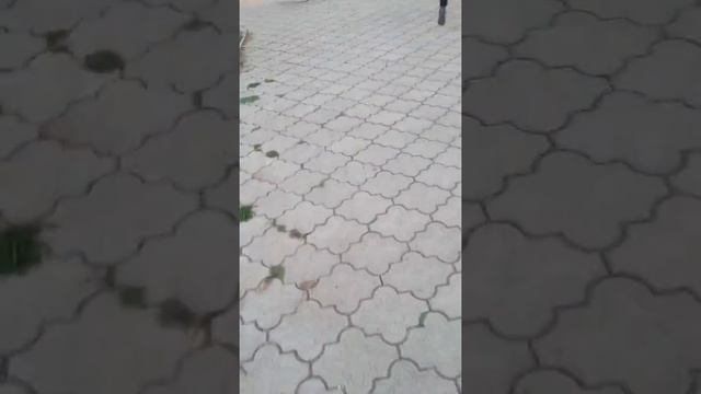 сейчас я уже придумала Как назвать канал Как будет называться сёстры потому что мы будем снимать кр смотреть онлайн