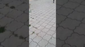 сейчас я уже придумала Как назвать канал Как будет называться сёстры потому что мы будем снимать кр