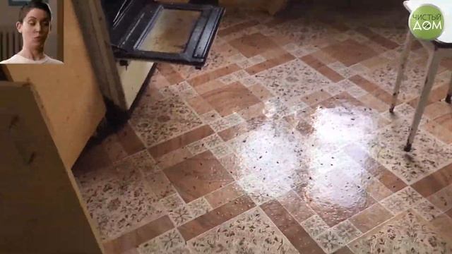 ТРАВЛЯ ТАРАКАНОВ ТУМАНОМ В ГРЯЗНОЙ КВАРТИРЕ смотреть онлайн