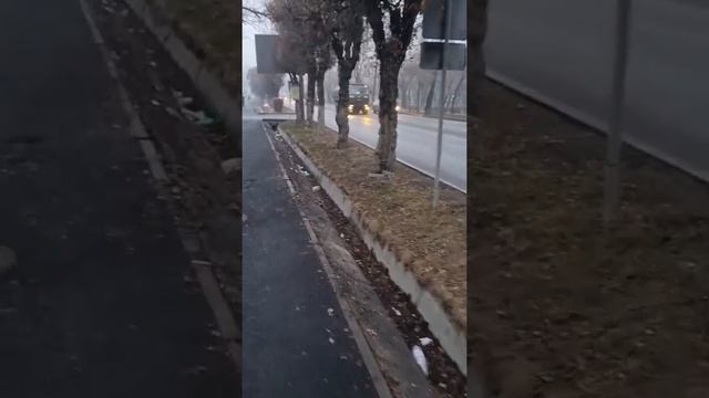 Не разрушайте город Алматы  #нурсултан #алматы #казахстан #алматымитинг #Алматы#прямойэфир