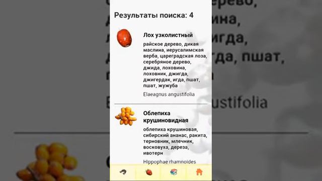 ЭкоГид: Определитель ягод и других дикорастущих сочных плодов России