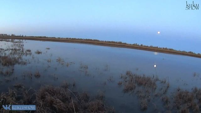 Охота на утку. Осень 2023
