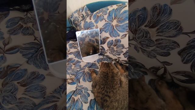 Красотка ❤️