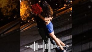 RAIKAHO-Черный мерин