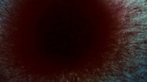 30 интересных фактов о морях и океанах